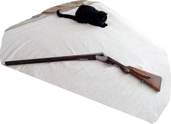 IMG 20190307 113908 HDR