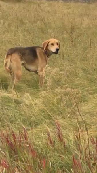 D0B81B1D B8A1 43E9 A8E7 F59BB3C5E452